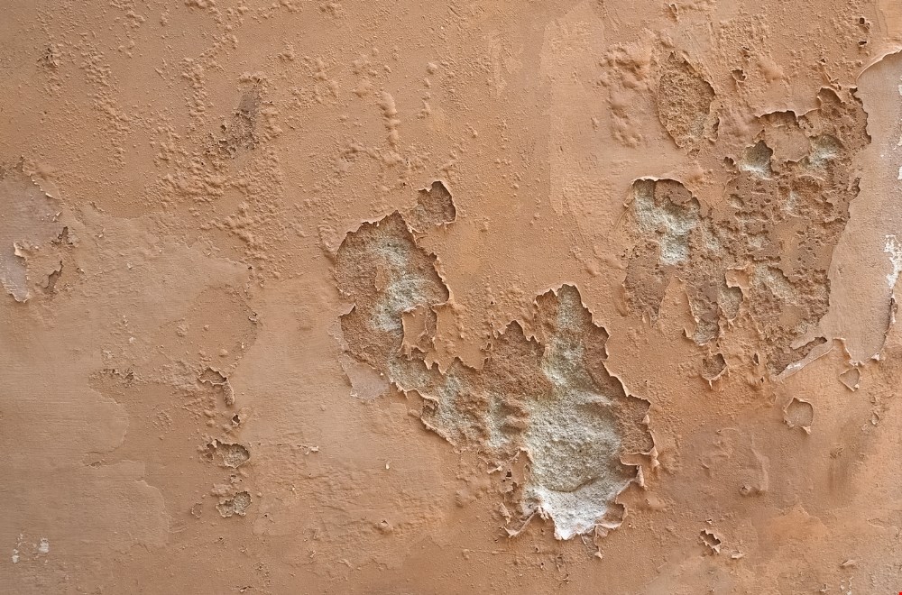 Wat te doen bij vocht in de muur? Een praktische gids